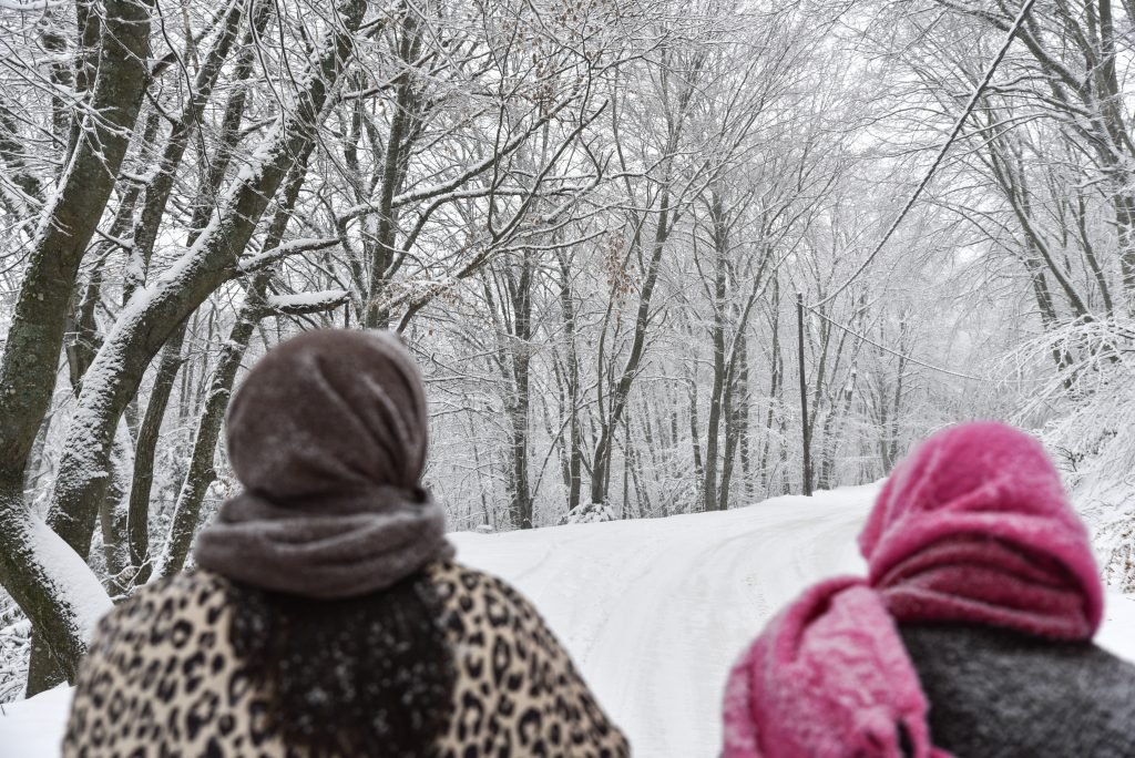 00_0008_20250113img_3488_sooc1736794585-1024×684 thumbnail