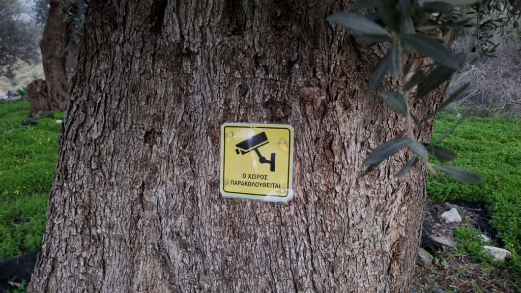 473081372_900451125579834_136540438910626535_n.jpg thumbnail