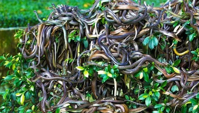 Untitled 10 thumbnail