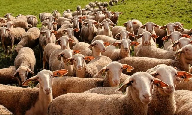 Untitled 11 thumbnail