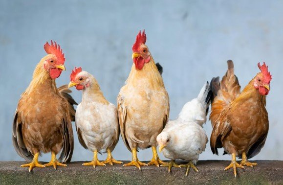 Untitled 3 thumbnail