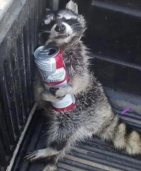 Untitled 3 thumbnail