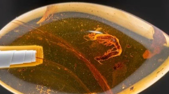 Untitled 3 thumbnail