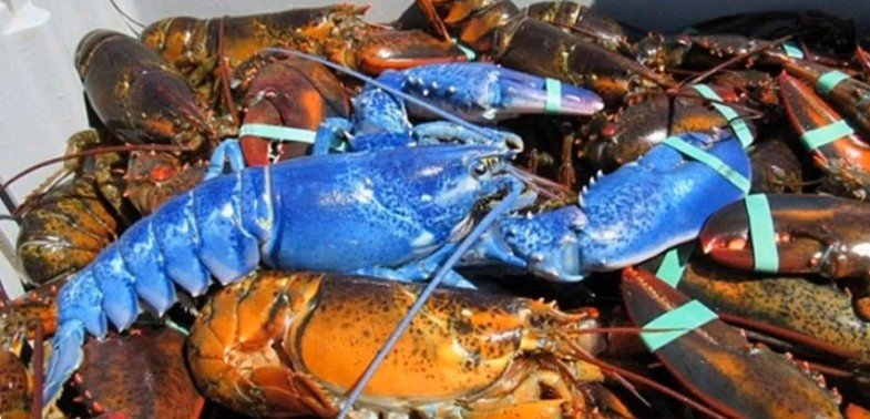 Untitled 7 thumbnail